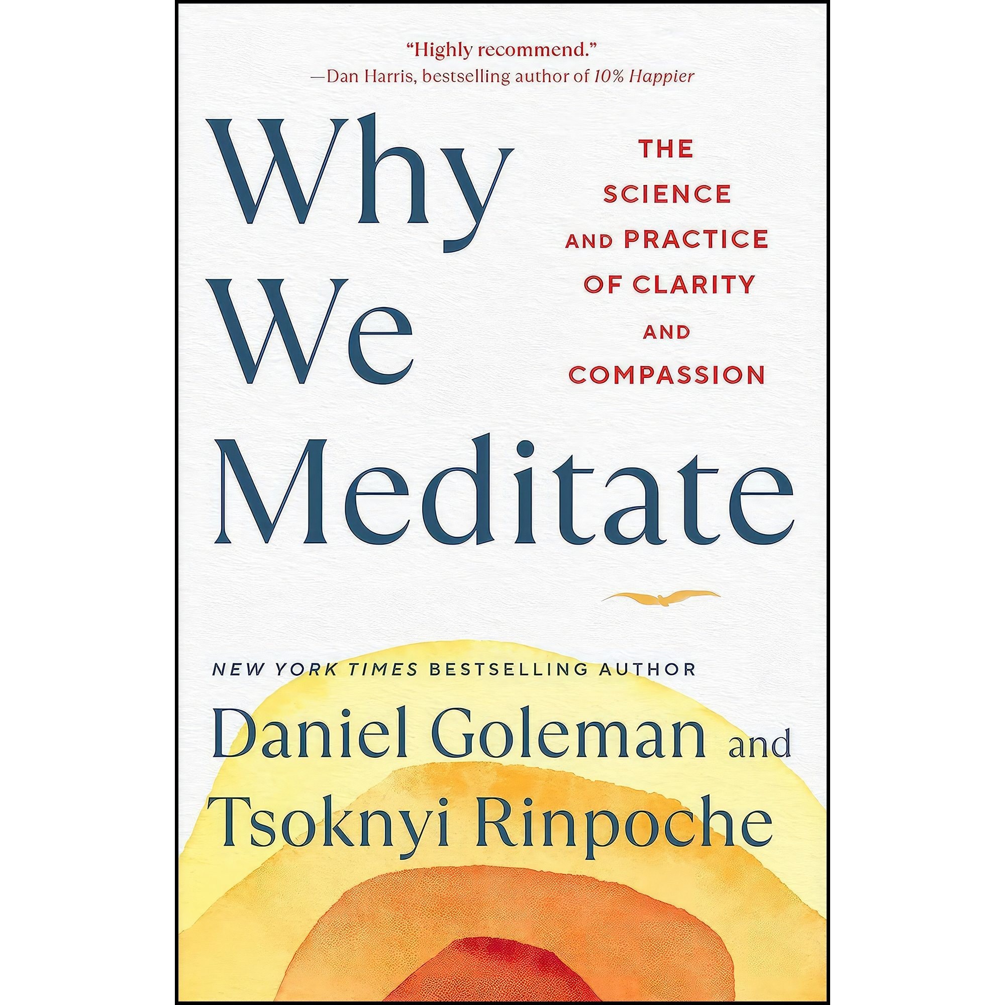 کتاب زبان اصلی Why We Meditate اثر Daniel Goleman and Tsoknyi Rinpoche