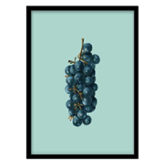 قیمت و خرید تابلو دکوراتیو مدل پوستر مینیمال انگور کد 1988