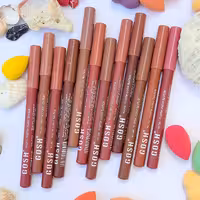 رژ مدادی 12تایی اصلی گاشgosh 