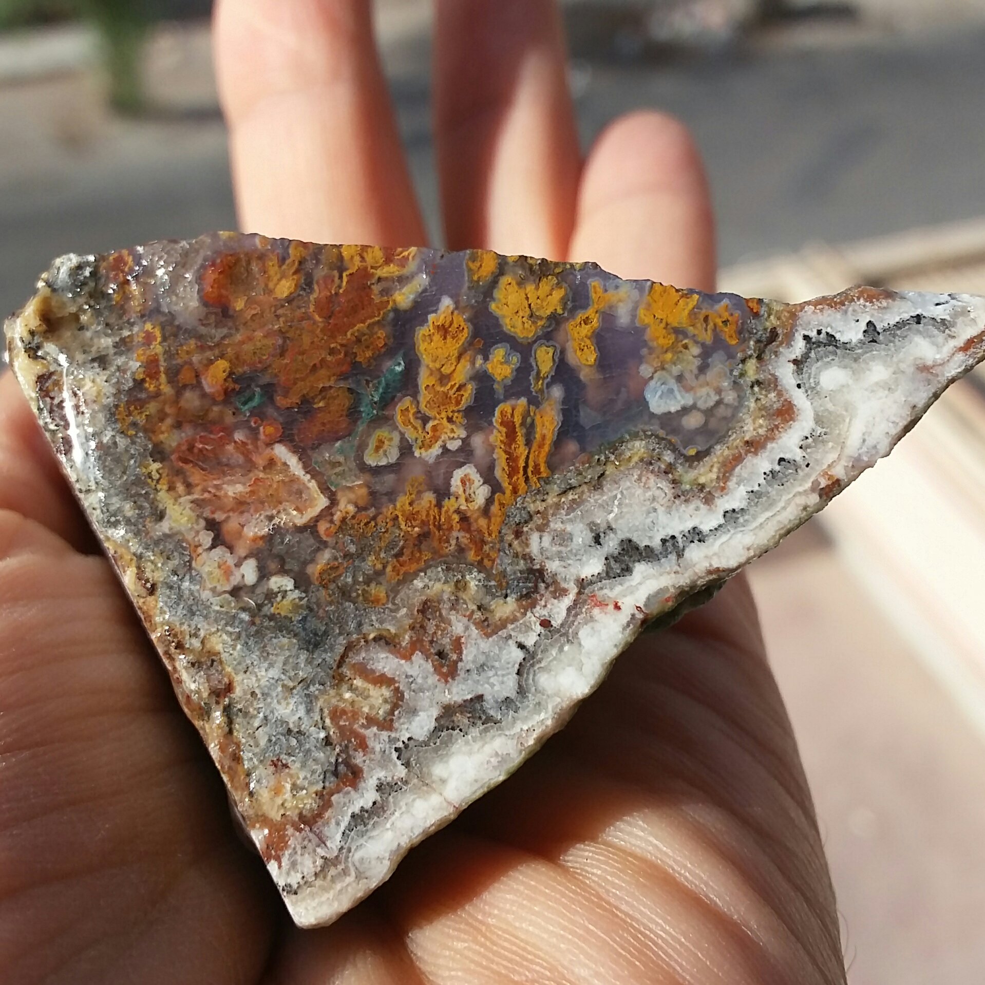 اسلایس سنگ راف شجر دریایی 7رنگ زمینه سوسنی 100 در 100 طبیعی شاا ااهکار خلقت تابلو نقاشی طبیعی