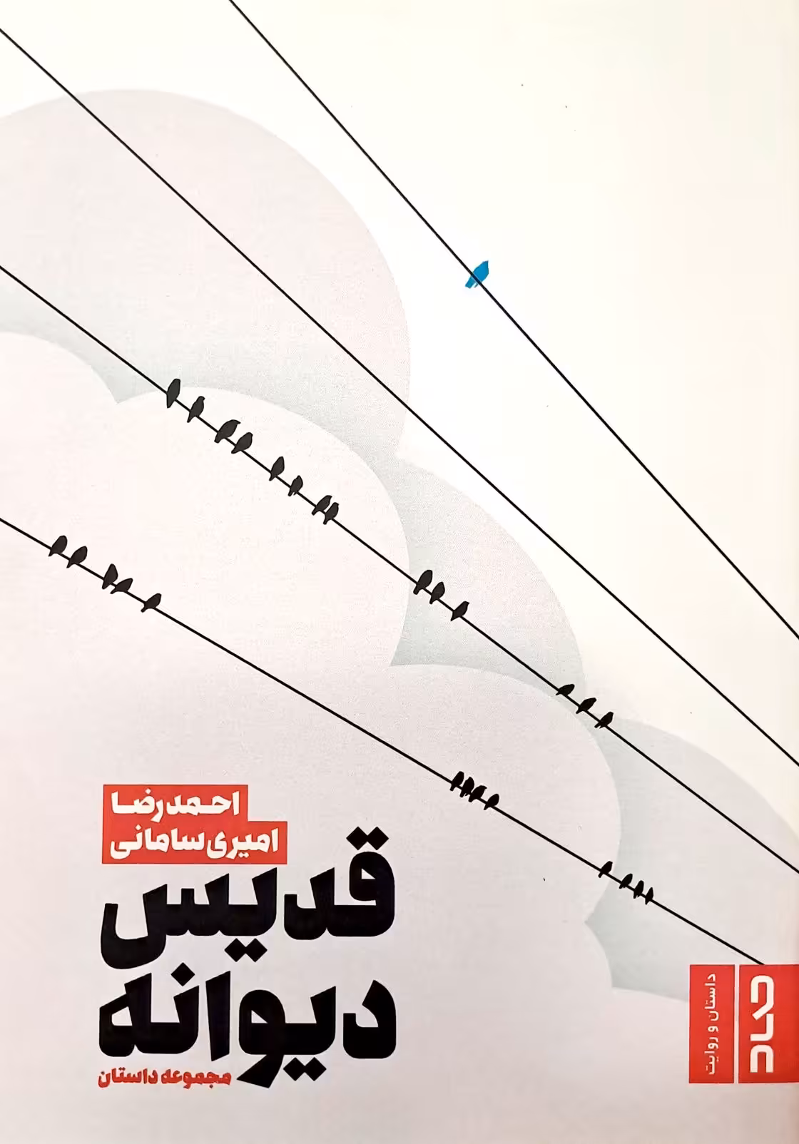 کتاب قدیس دیوانه