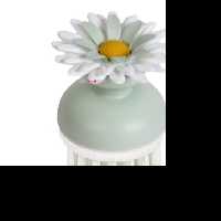 فرچه و برس میوه شوی لیمون مدل گل رنگ سبز