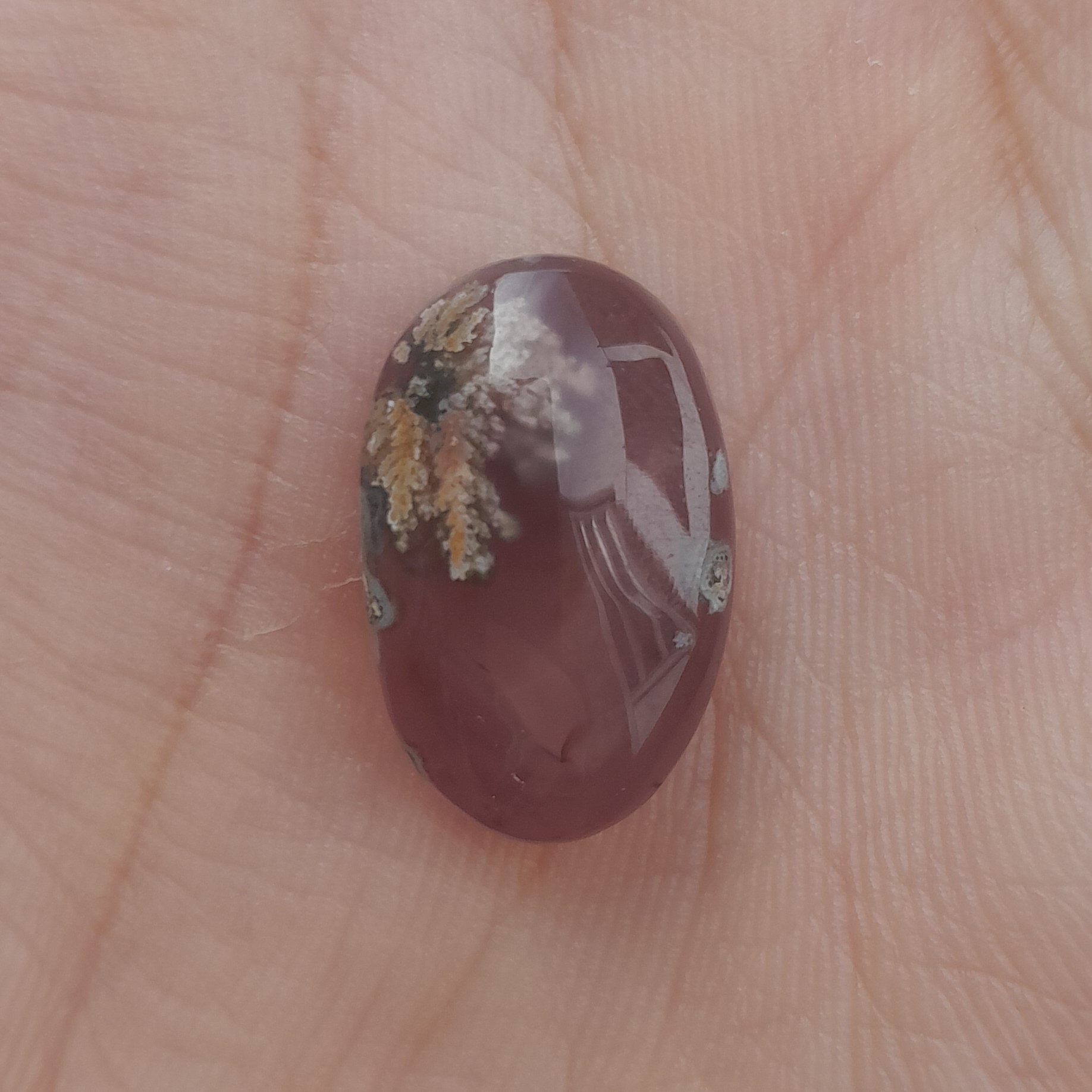 نگین عقیق شجر کد 118