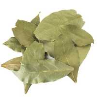 برگ بو اصل تازه و درجه یک(یک کیلو)