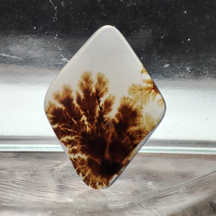 شجر قائن طبیعی و معدنی کد 919