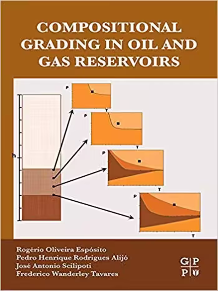 󾕇 دانلود کتاب Compositional Grading In Oil And Gas Reservoirs, 2017 - دانلود کتاب های دانشگاهی