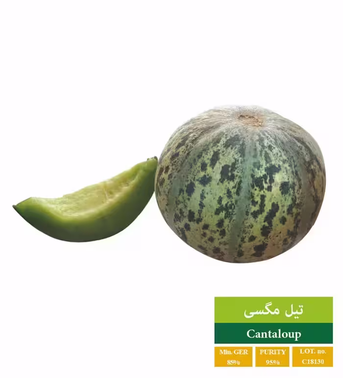 بذر تیل سبز - بذر طلایی رویان