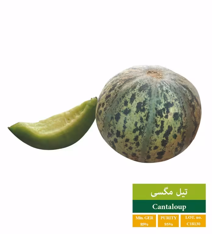 بذر تیل سبز - بذر طلایی رویان