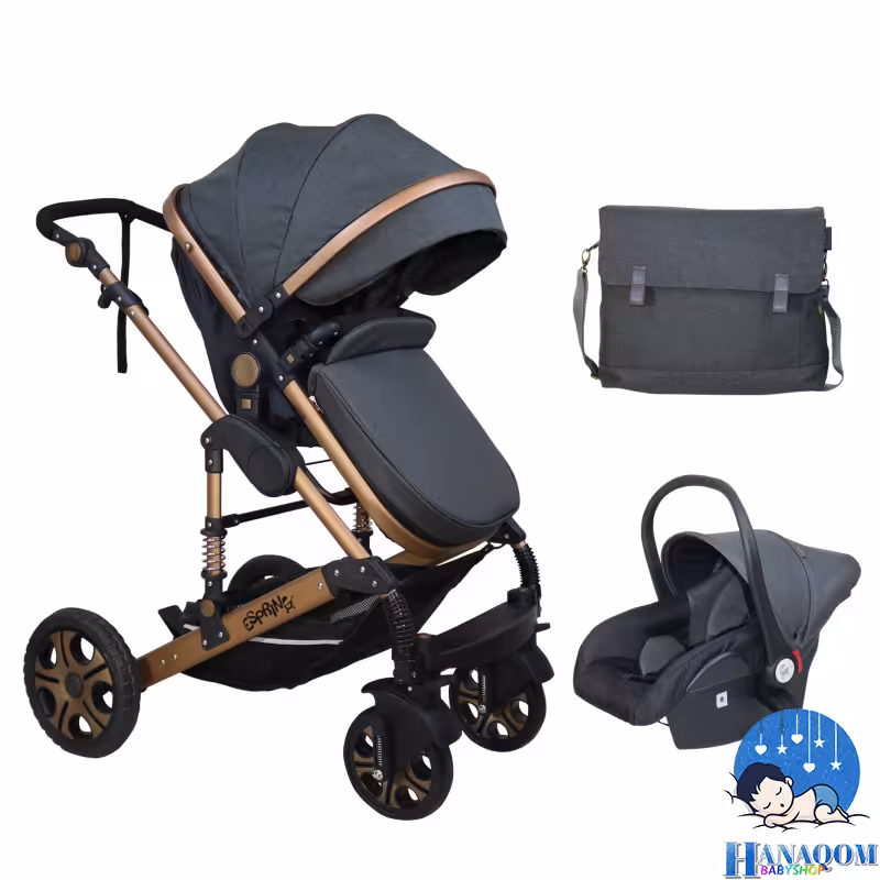 سرویس کالسکه اسپرینگ بدنه برنز