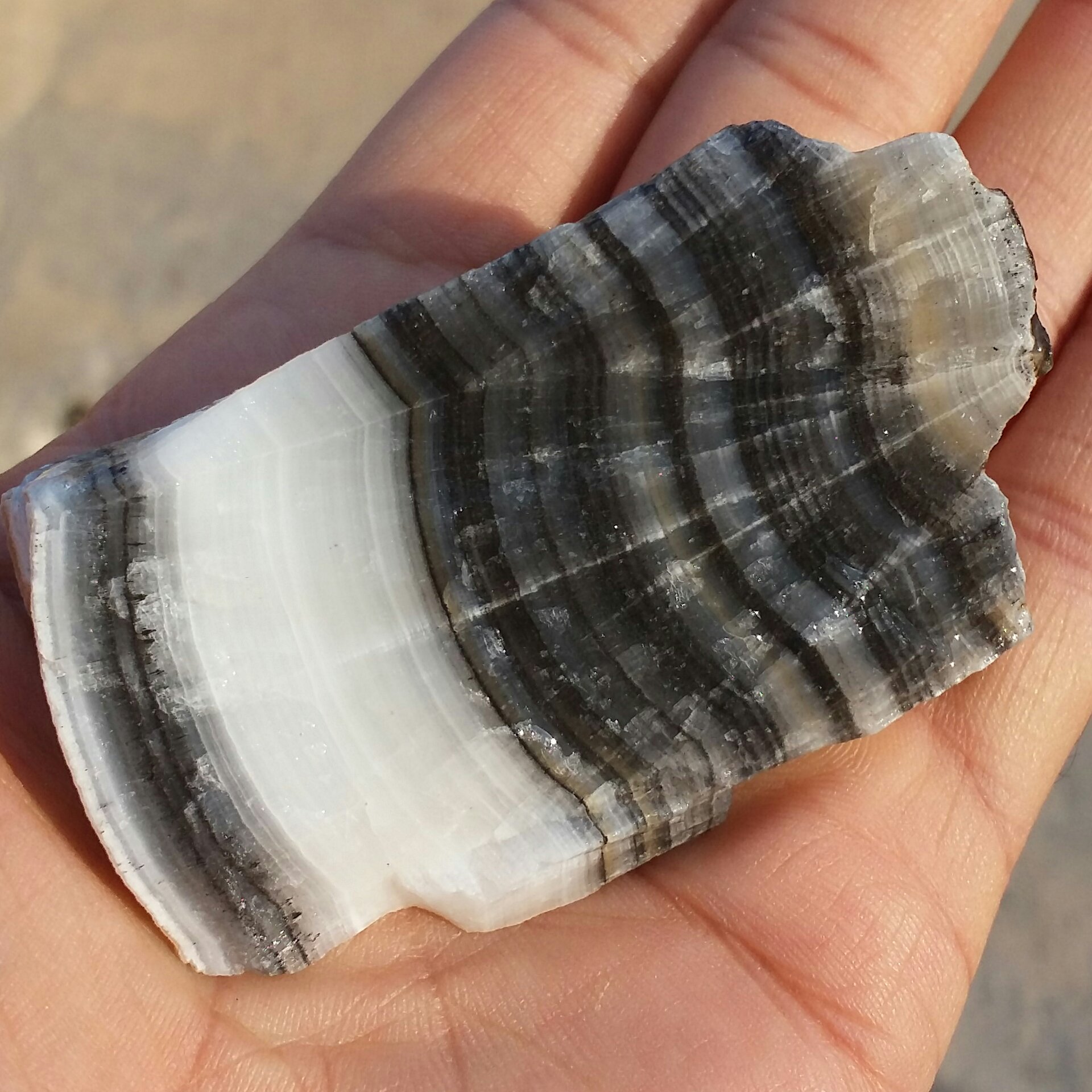 سنگ راف  آراگونیت  سیاه سفید خارق العاده 100 در 100 طبیعی  شاهکار خلقت خاص
با قابلیت ساخت چند نگین خاص و دیدنی
کد 7701