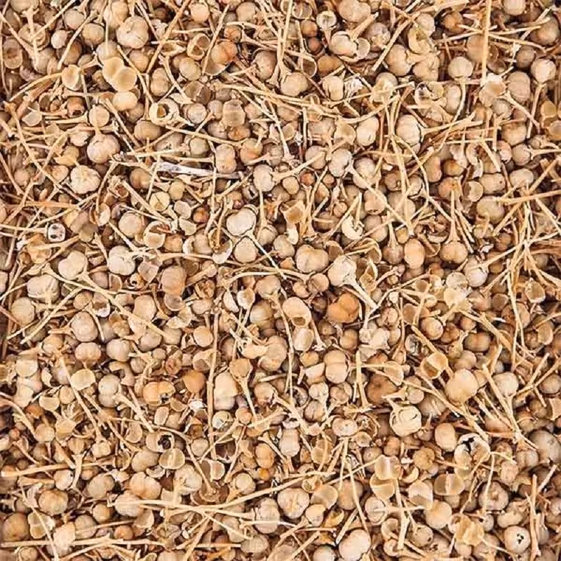 اسپند غوزه ای ساده 250 گرمی  نخودی