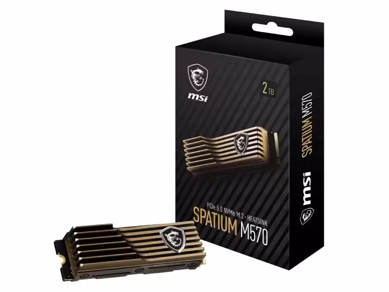 اس اس دی اینترنال ام اس آی NVMe M.2 مدل SPATIUM M570 PRO FROZR ظرفیت 2 ترابایت