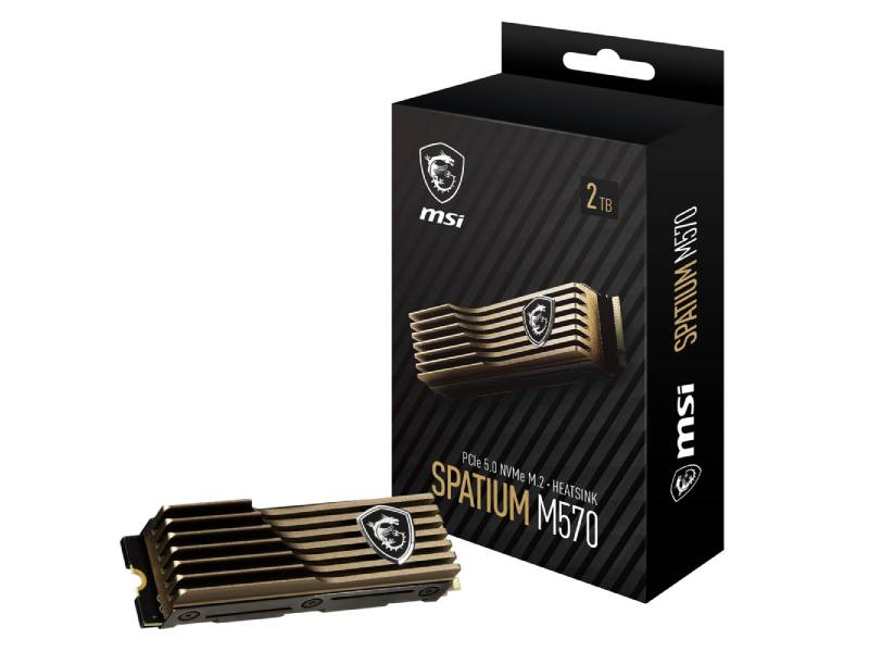 اس اس دی اینترنال ام اس آی NVMe M.2 مدل SPATIUM M570 PRO FROZR ظرفیت 2 ترابایت