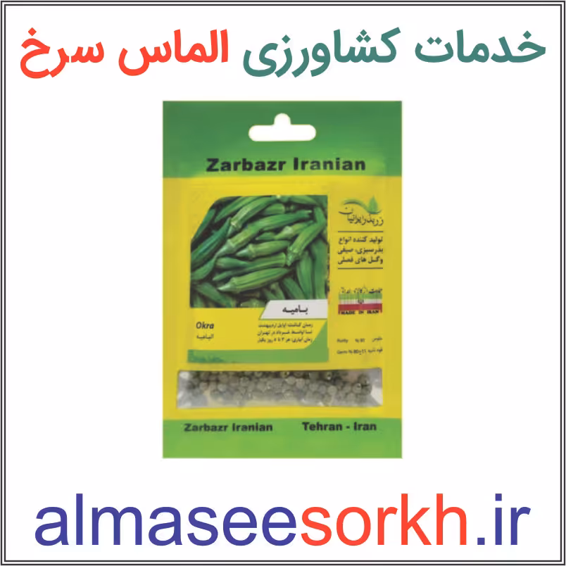بذر بامیه مخملی زر بذر ایرانیان | گیاه پزشکی الماس سرخ