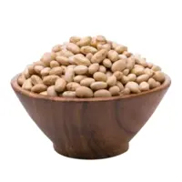 سویا آجیلی ممتاز 