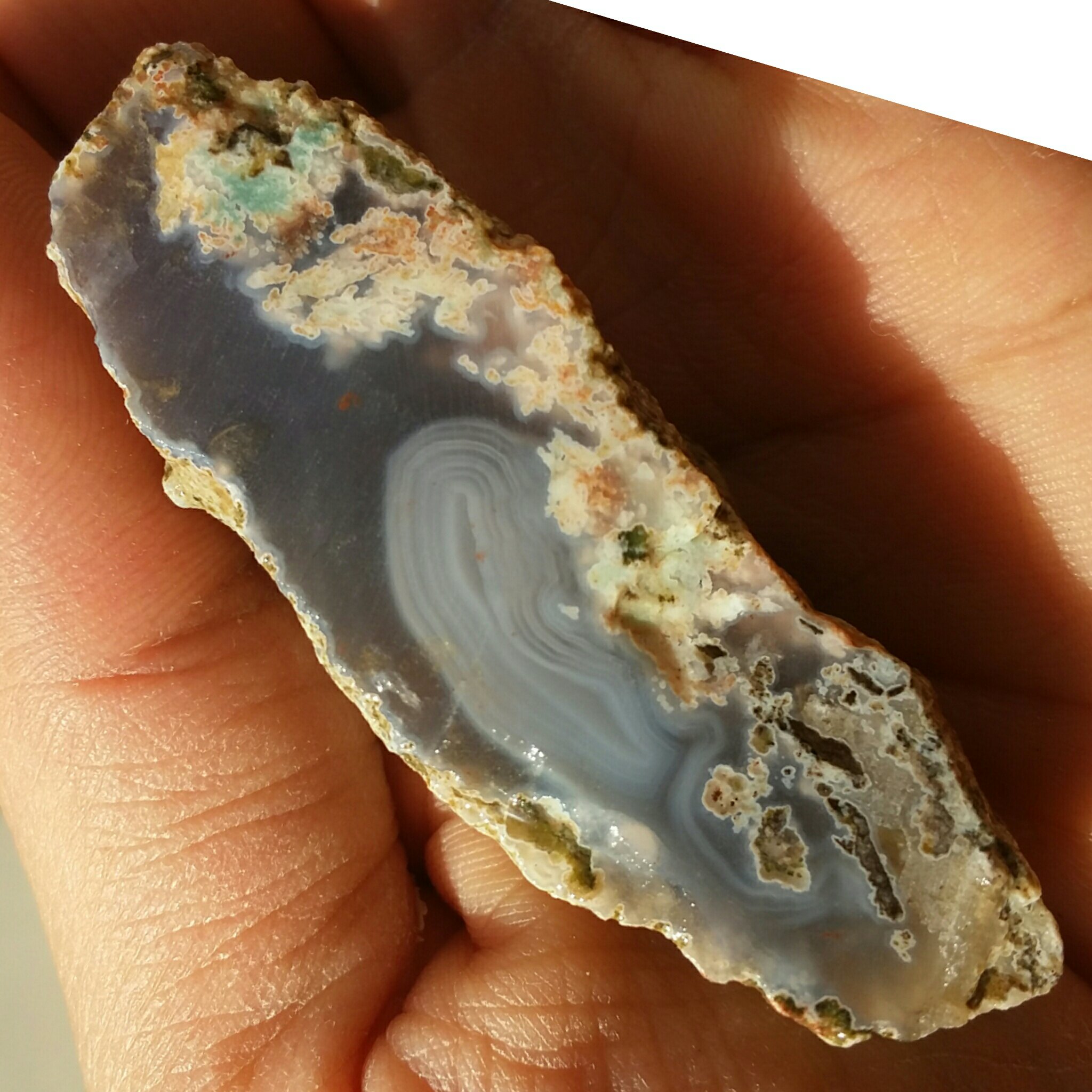 سنگ راف شجر شکوفه 7رنگ محشر شاهکار خلقت دیدنییییی کاملا طبیعی
فوق العاده خاص