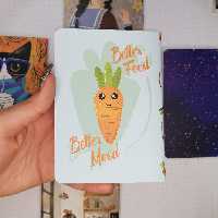 دفترچه یادداشت خط دار پاسپورتی سویل طرح هویج نارنجی 