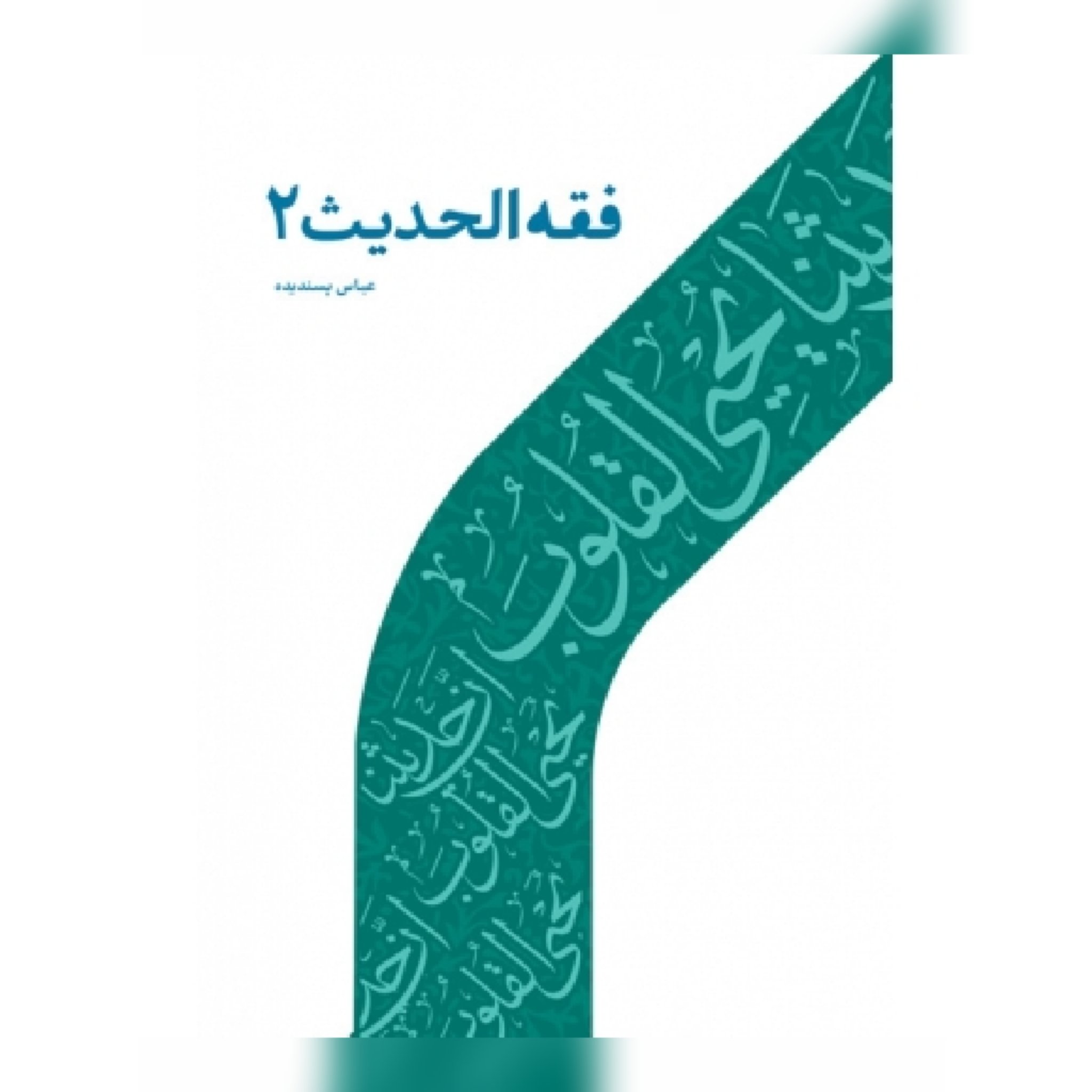 کتاب فقه الحدیث 2