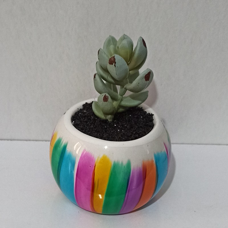گلدان رنگی کوچک به همراه کاکتوس مصنوعی 