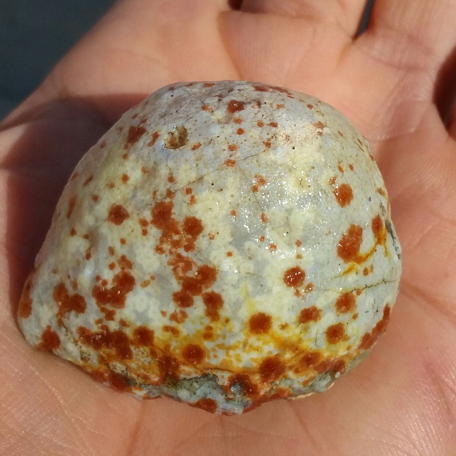 سنگ راف خام عقیق برش نخورده طرحدار 100 در 100 طبیعی سرشار از خواص شاهکار خلقت
با قابلیت ساخت چند نگین محشر
کد 9424