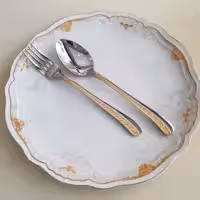 قاشق و چنگال طرح ورساچ