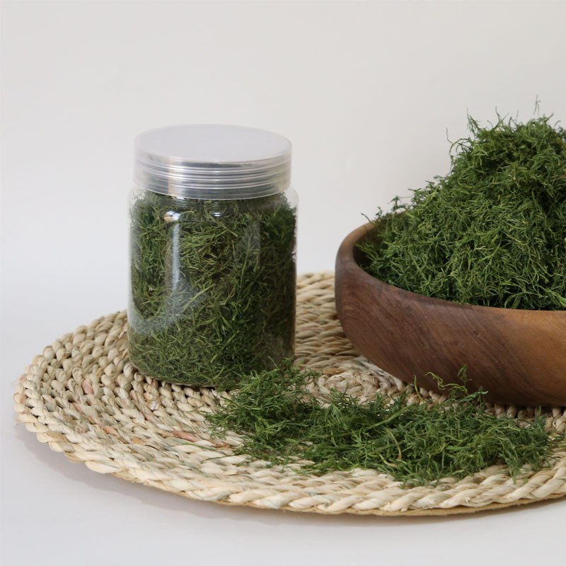 شوید خشک شده پودر نشده و نشده با کیفیت صادراتی عمده و جزئی آماده شده با عشق