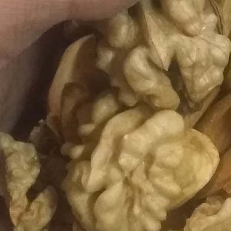 مغزگردو پرچرب