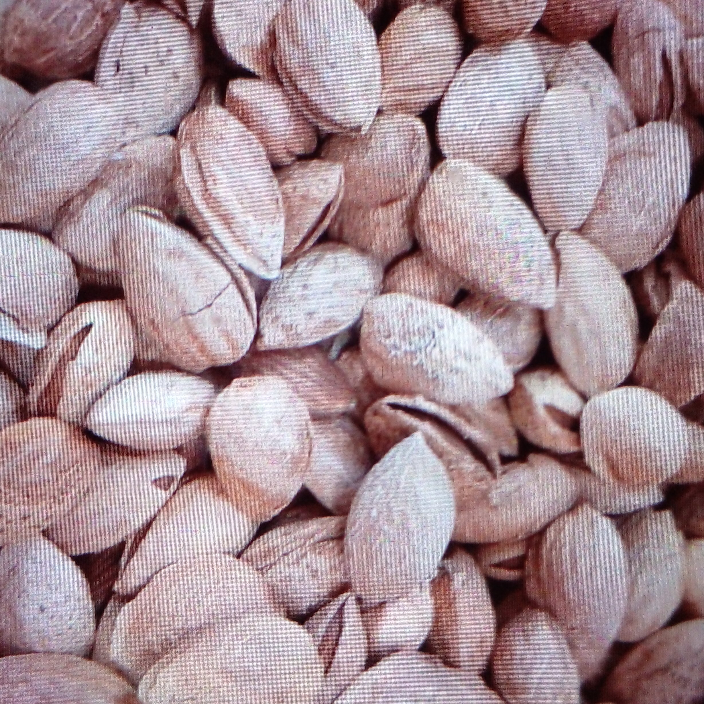 بادام پوست کاغذی