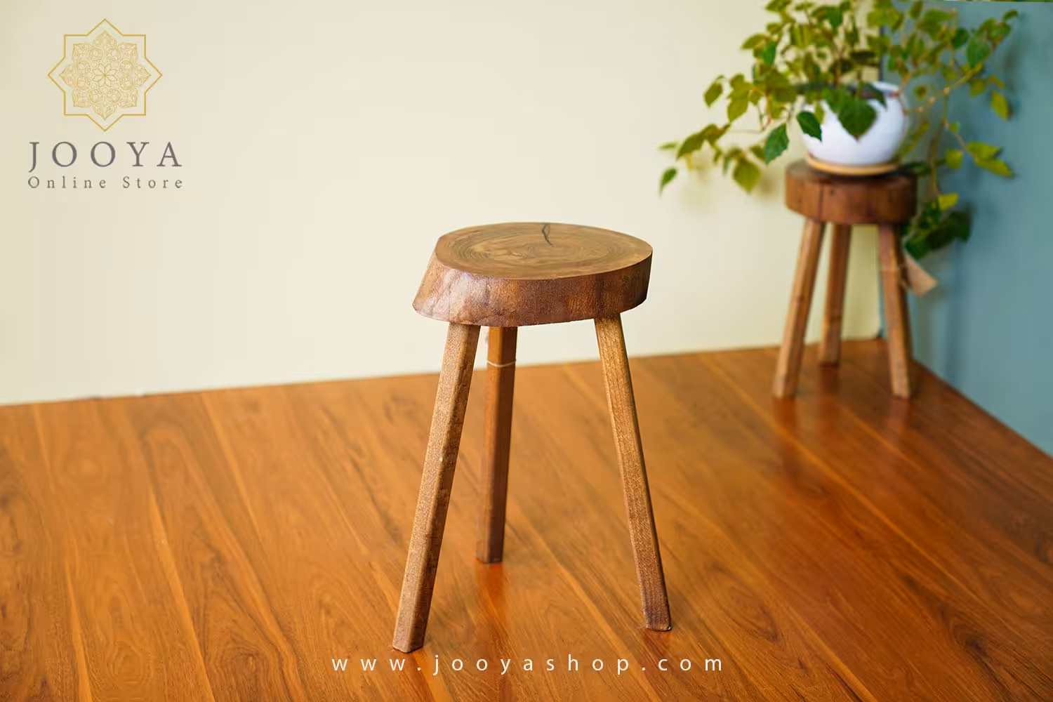 استند چوبی دالیا