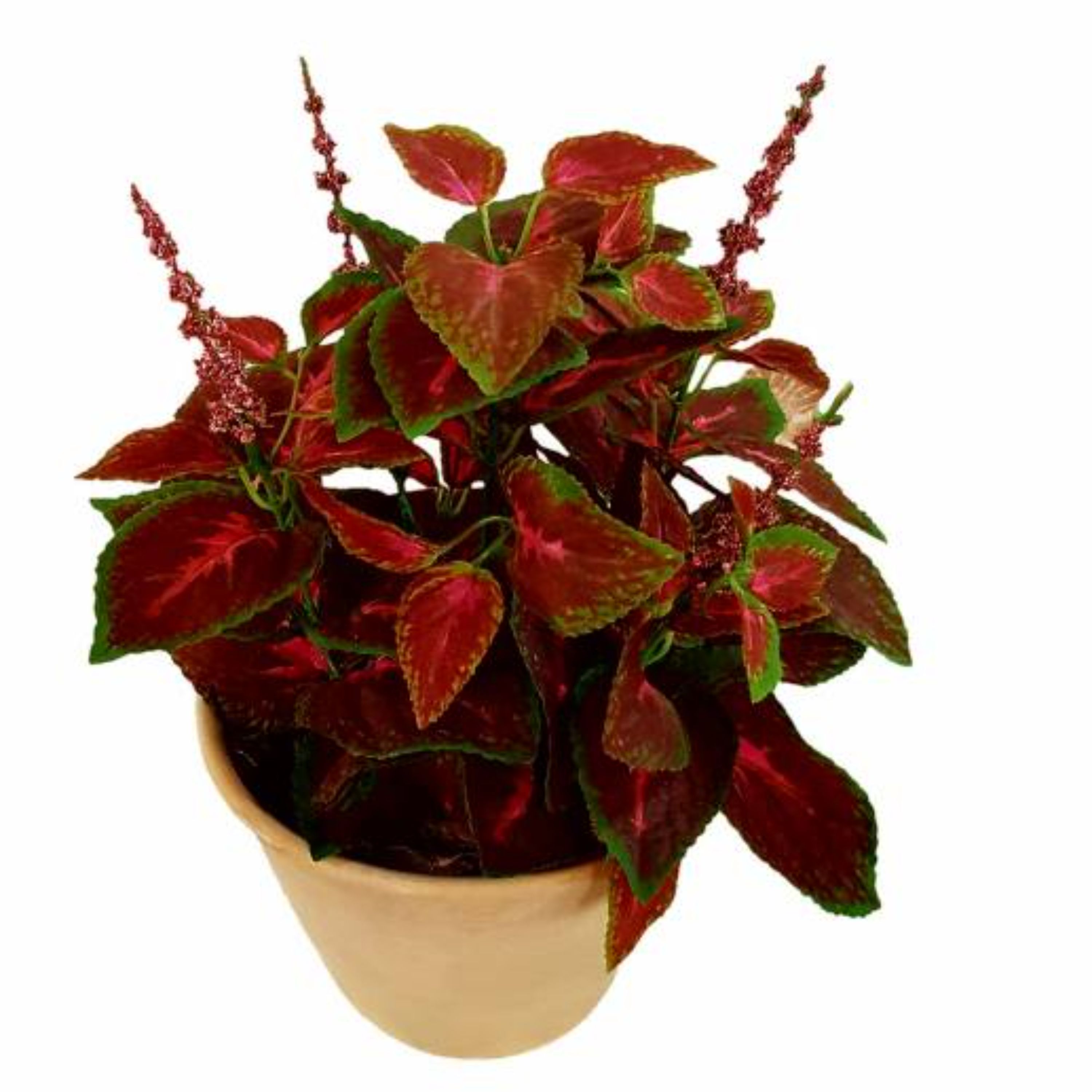 گلدان حسن یوسف مصنوعی