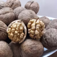 خشکبارنازگل 
گردوی درجه یک واعلاتویسرکان(1000)گرمی