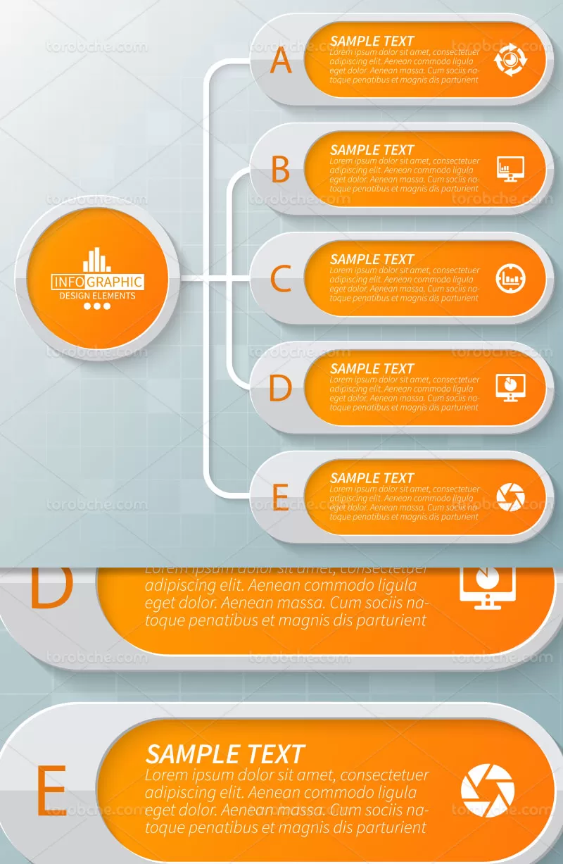 وکتور اینفوگرافیک 5 بخشی | گرافیک با طعم تربچه