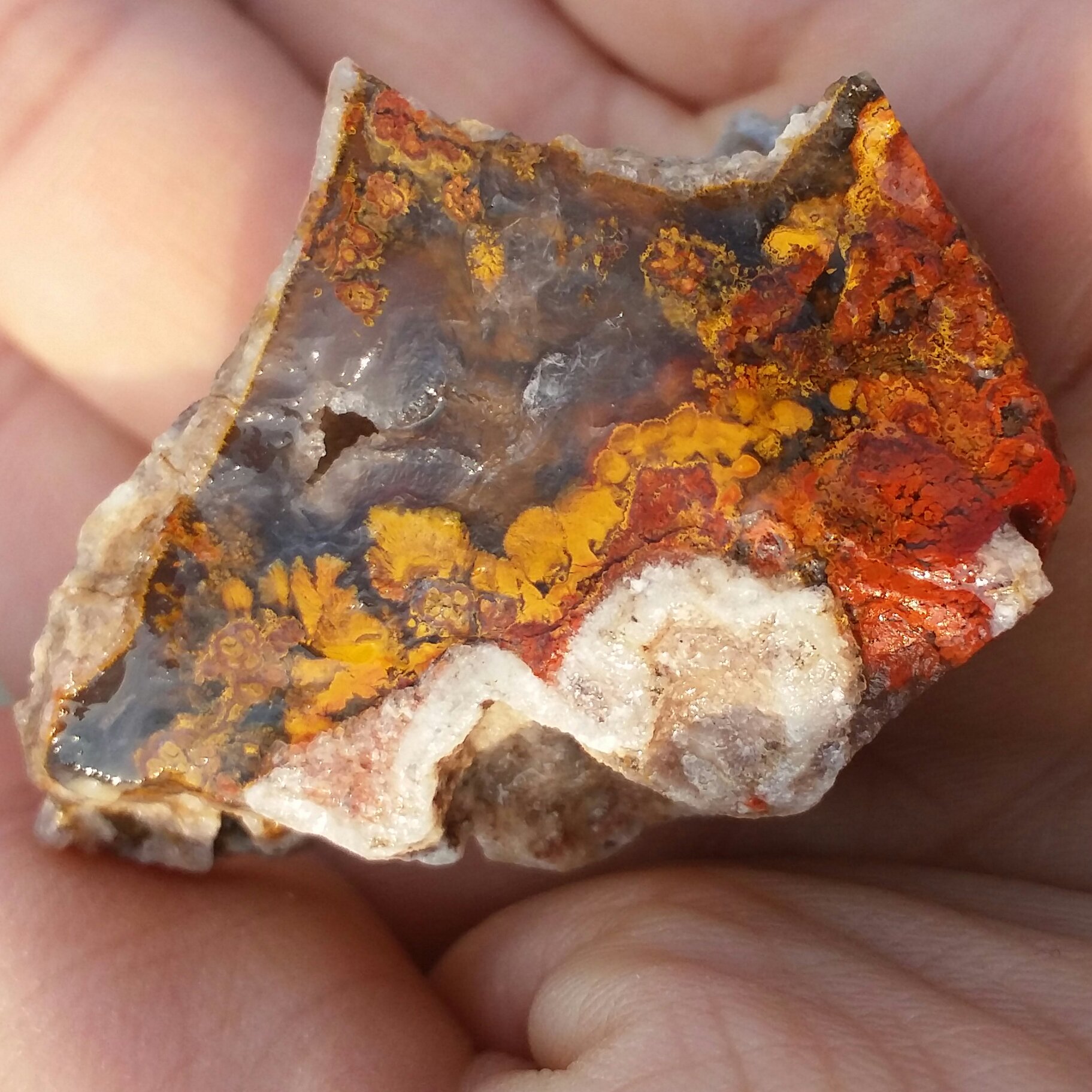 سنگ راف حبه شده عقیق شجر منظره 7رنگ  بینهایت زیبااا 100 در 100 طبیعی
شاهکار خلقت تابلو نقاشی طبیعی
بی نظییر
