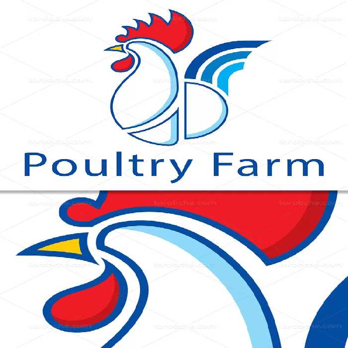 وکتور لوگو مرغداری با کیفیت | گرافیک با طعم تربچه