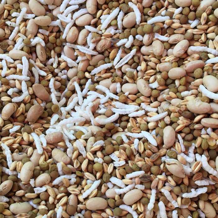 اجیل سلامت 1000گرم  (شاهدانه گندم سویا برنجک عدس)