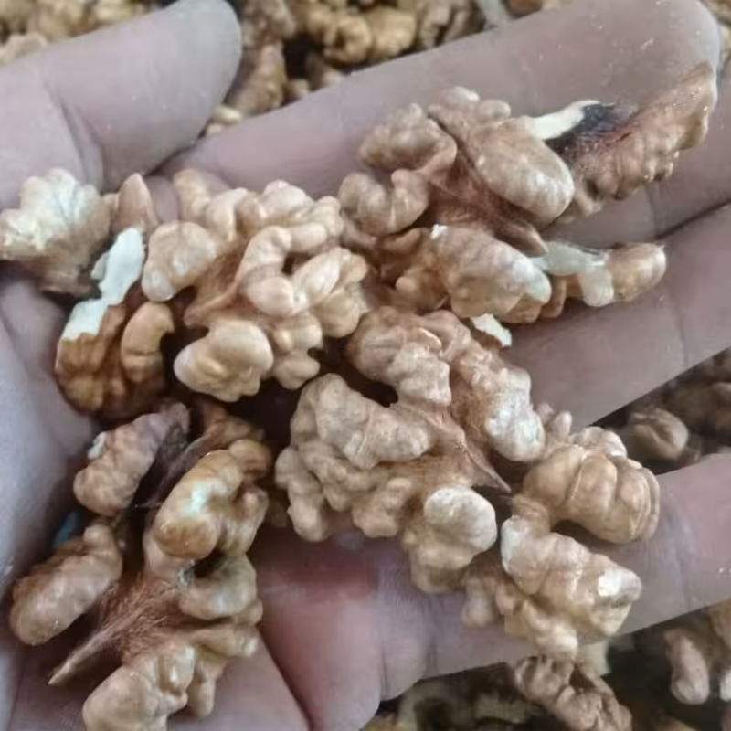 مغز گردو درجه یک تازه شکن کیفیت بسیار عالی در بسته بندی 500 گرمی 