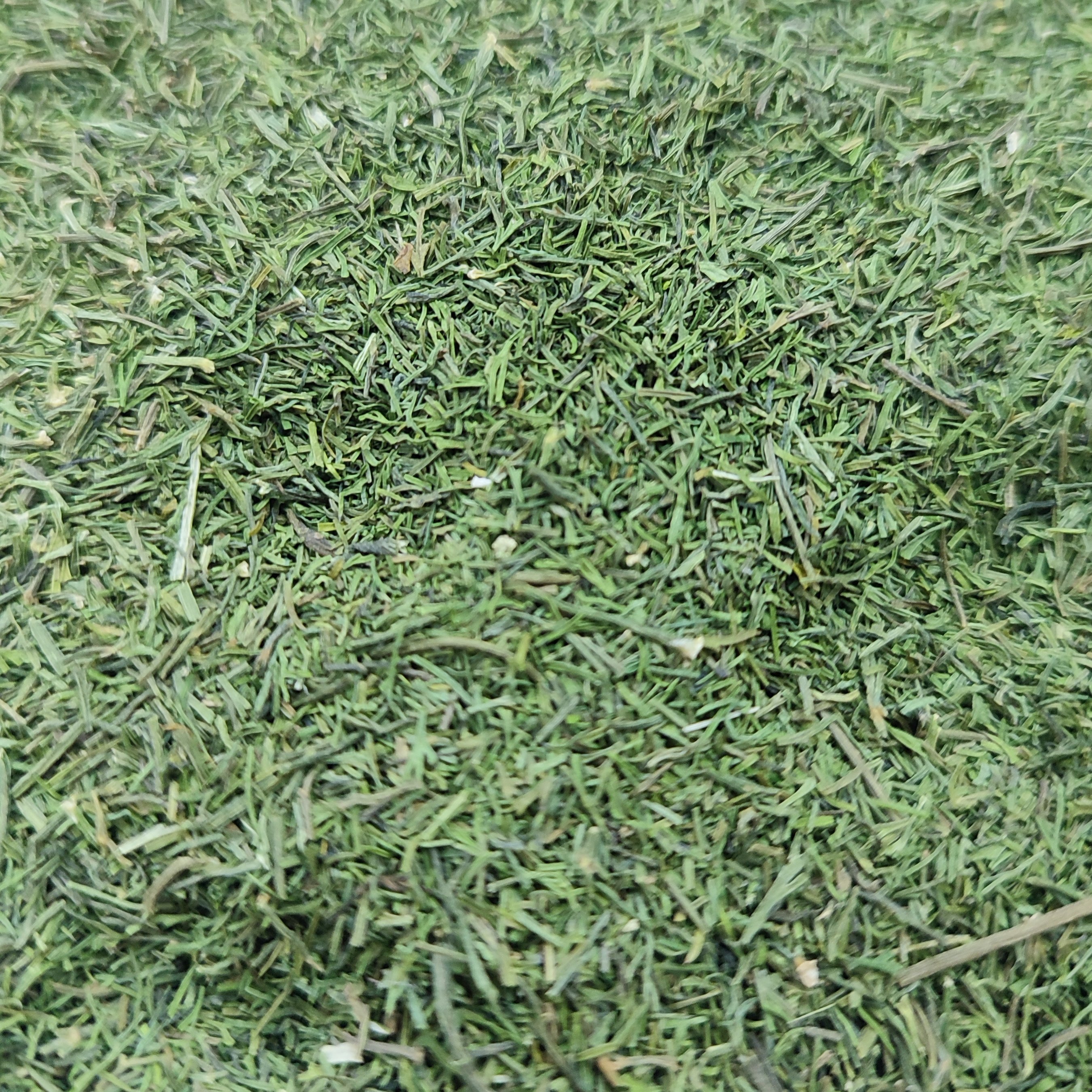 سبزی خشک خونگی شوید لیلاکوه (50 گرمی) 