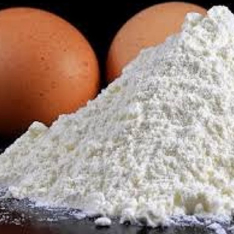 پودر سفیده تخم مرغ100 گرمی ،سفیده تخم مرغ