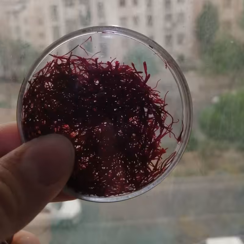 زعفران ممتاز یک گرمی با بسته بندی کریستال 