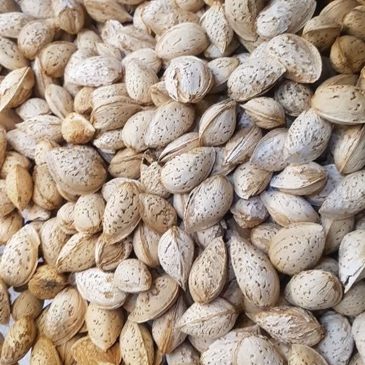 بادام منقاء ایرانی 1000گرمی
