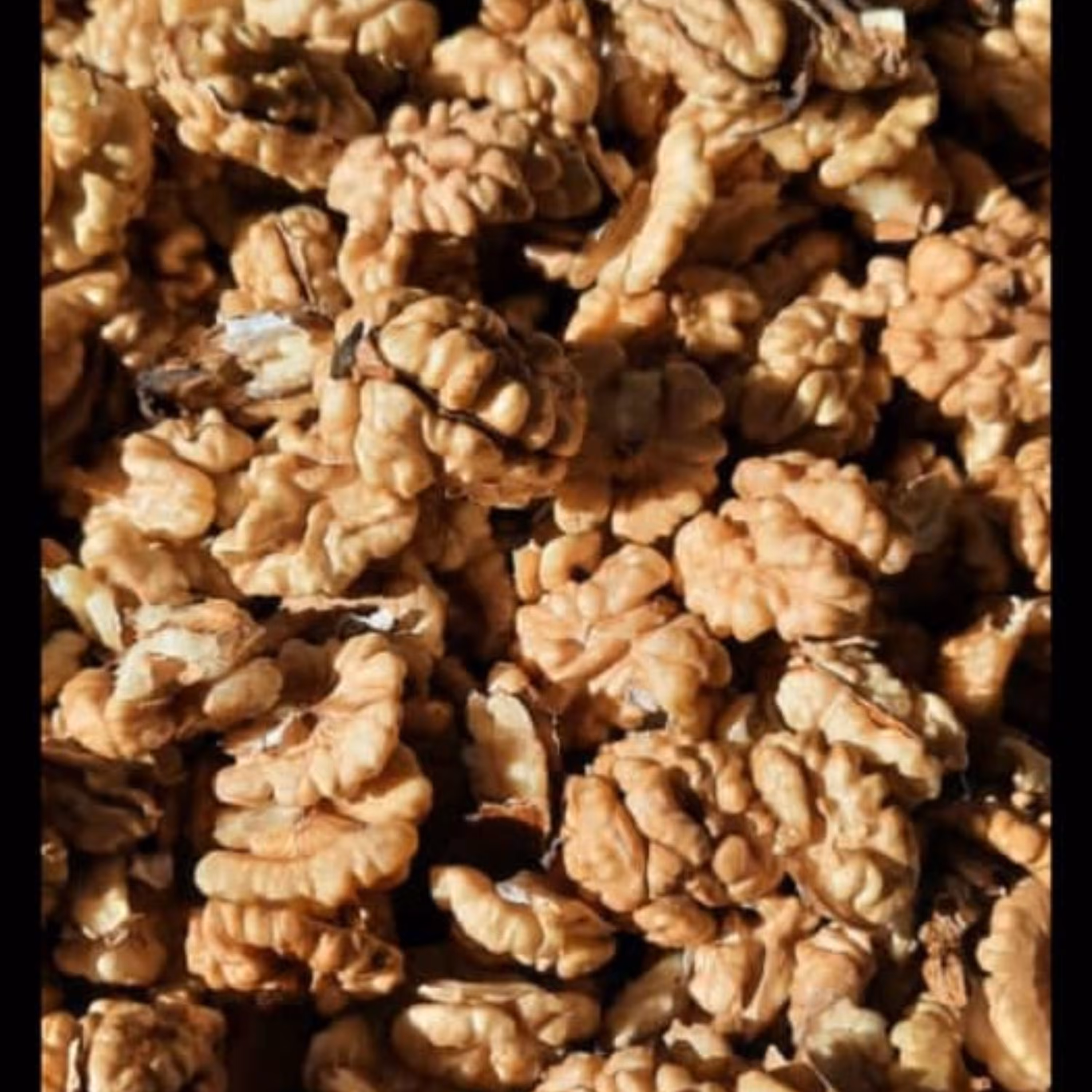 مغز گردو درجه یک سفید پرچرب تولید کننده ام