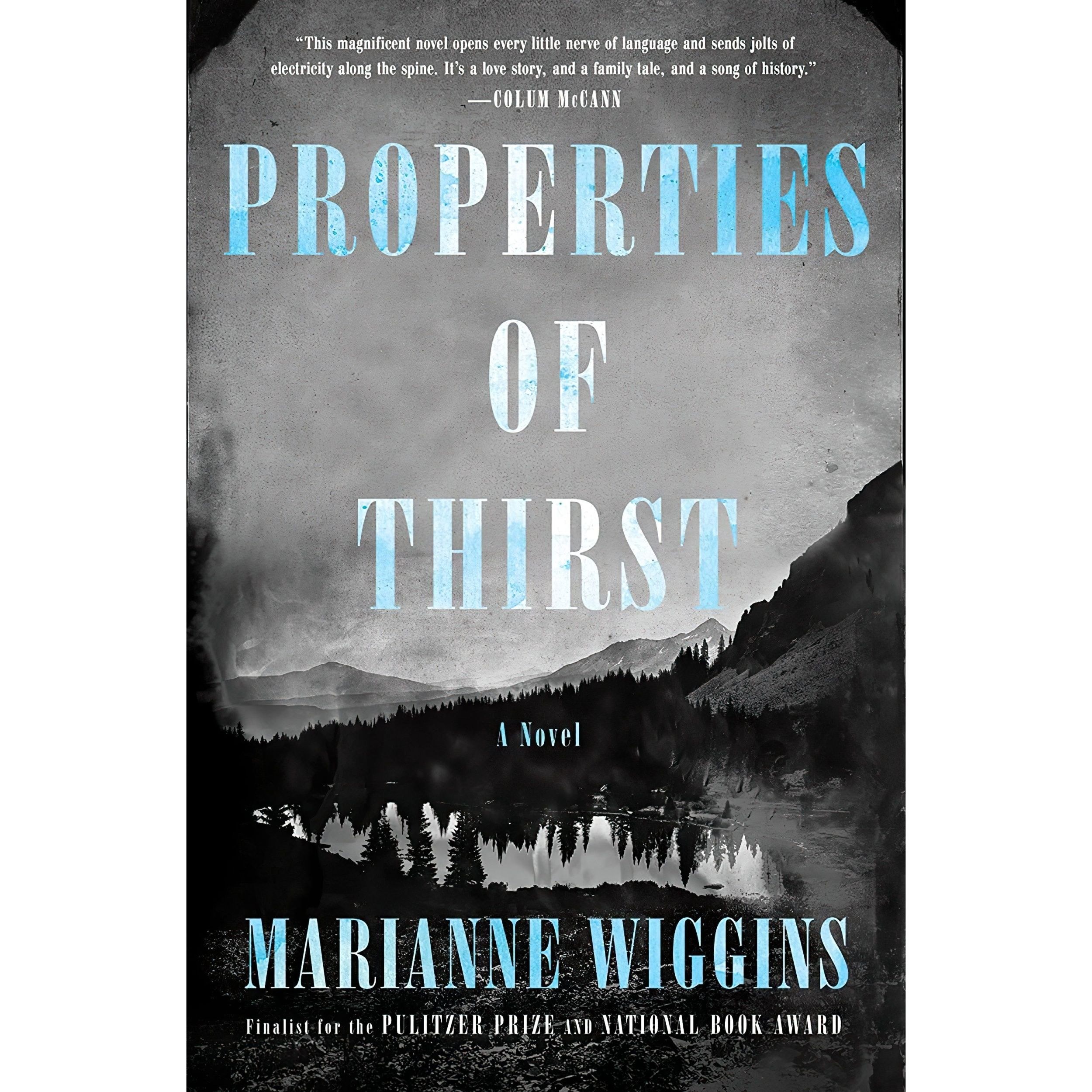 کتاب زبان اصلی Properties of Thirst اثر Marianne Wiggins