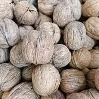 گردو پوست کاغذی 500 گرمی شیرین و سفید