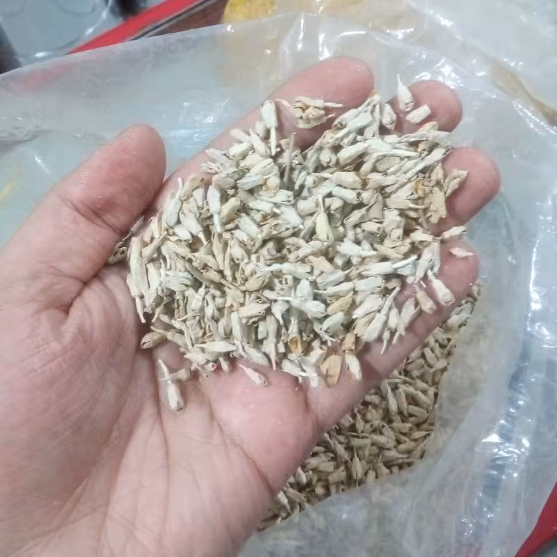 شکوفه سنجد (1 کیلوگرم) سورت گل سنجد تمیز (پس کرایه)