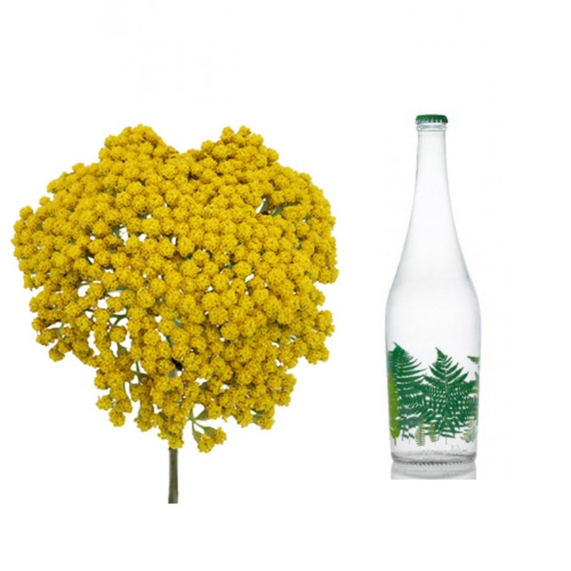 عرق بومادران ناب یک لیتری