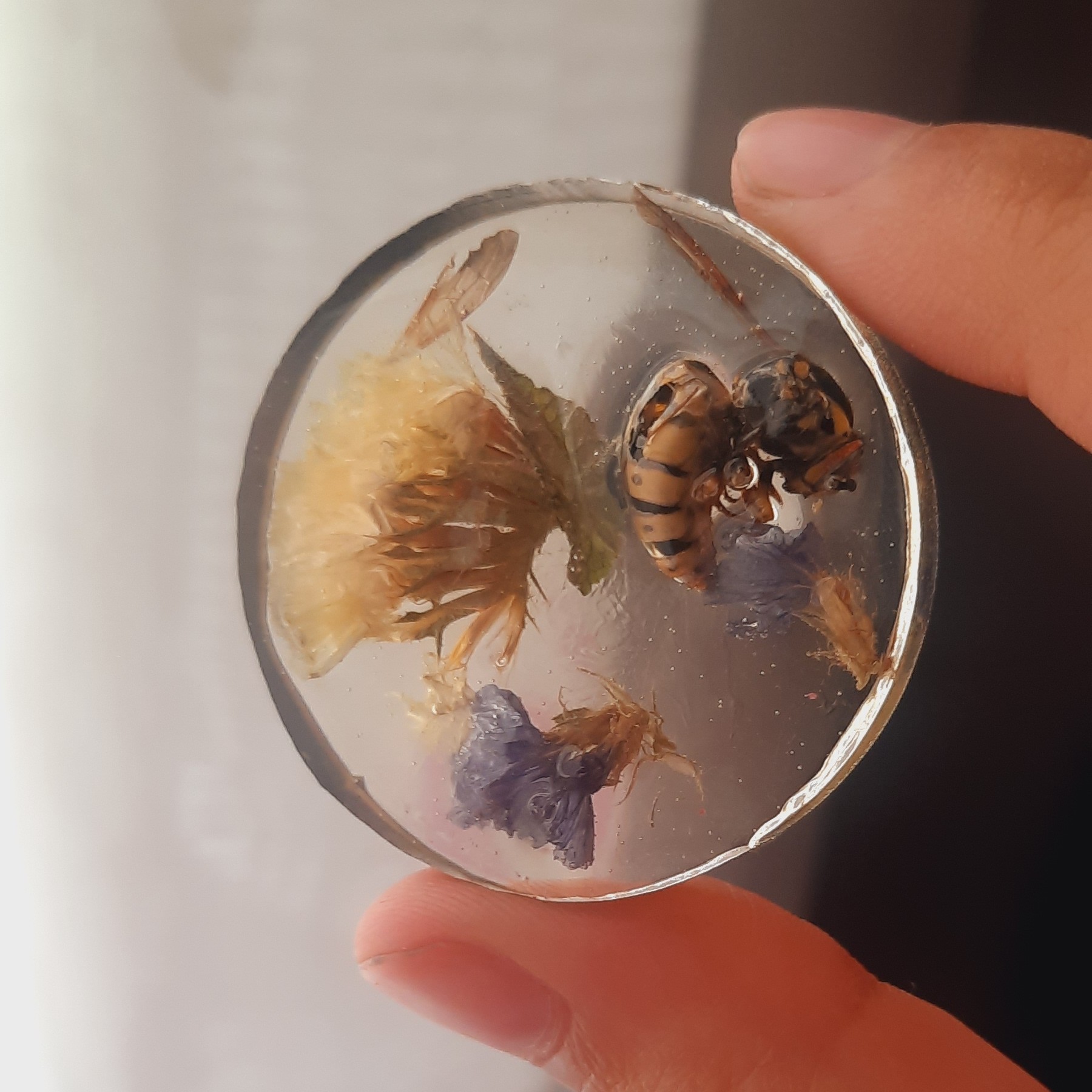 رزین دایره 10 سانتی زنبور عسلِ شیرین نبات 