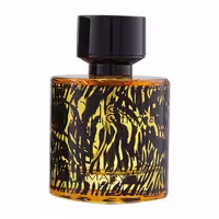 عطر و ادکلن مردانه وایلد استرایپس برند مریاژ ( MARYAJ - WILD STRIPES )