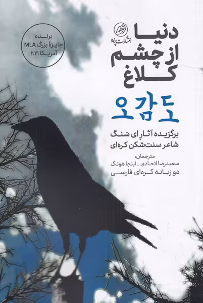 کتاب دنیا از چشم کلاغ اثر ای سنگ