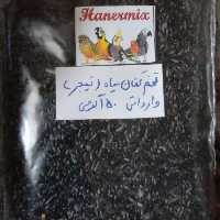 تخم کتان سیاه نیجر دان قناری  و پرندگان زینتی برای آماده سازی پرنده و تحریک کننده150گرمی وارداتی بلژیکی