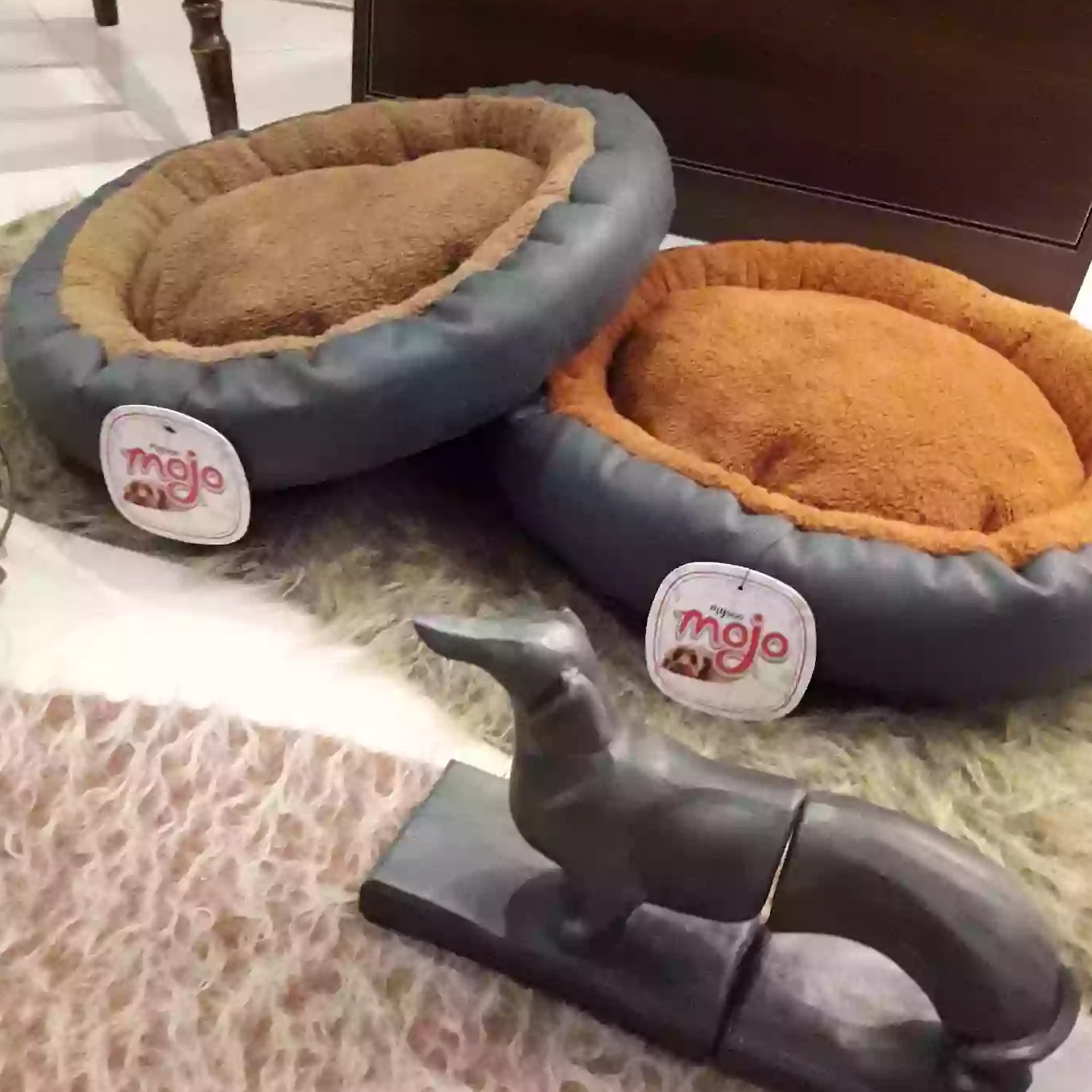 جای خواب گربه و پت کوچک